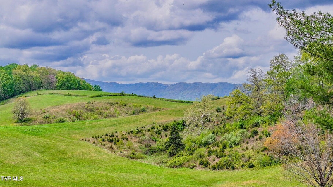 Photo #3: 207 Pleasant View Road