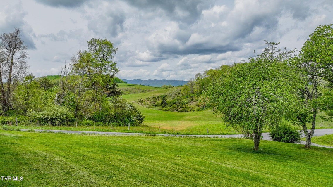 Photo #46: 207 Pleasant View Road