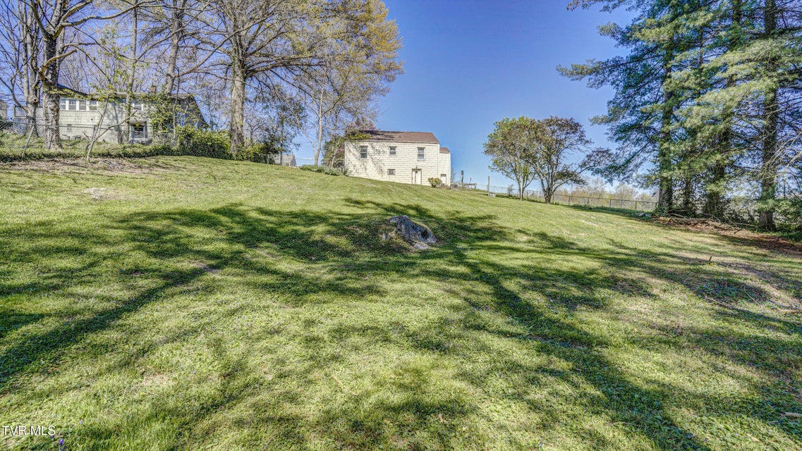 Photo #33: 314 Morris Street