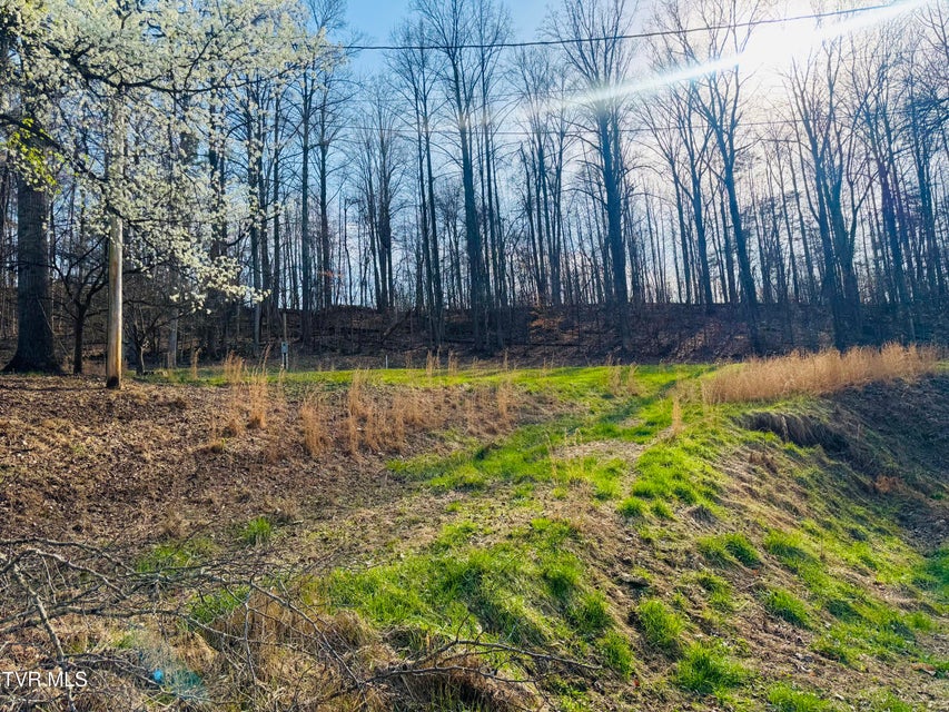 Photo #11: 160 Bobs Hollow Road