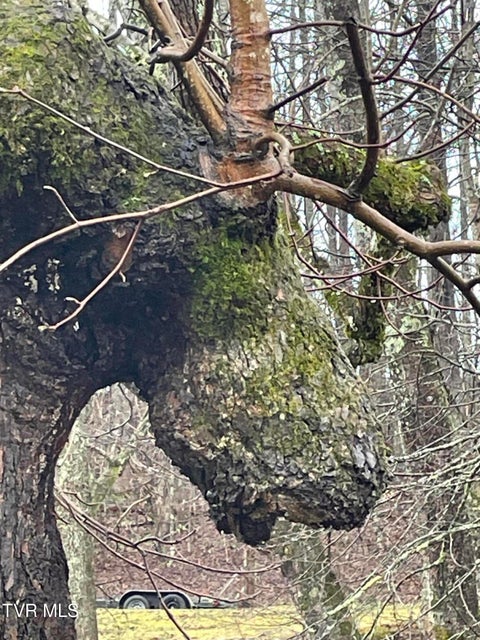 Photo #3: 160 Bobs Hollow Road