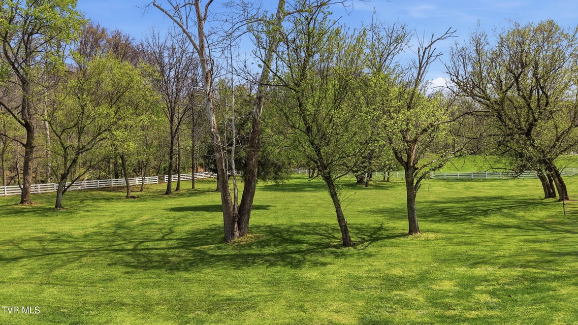 Photo #45: 565 Gap Creek Road