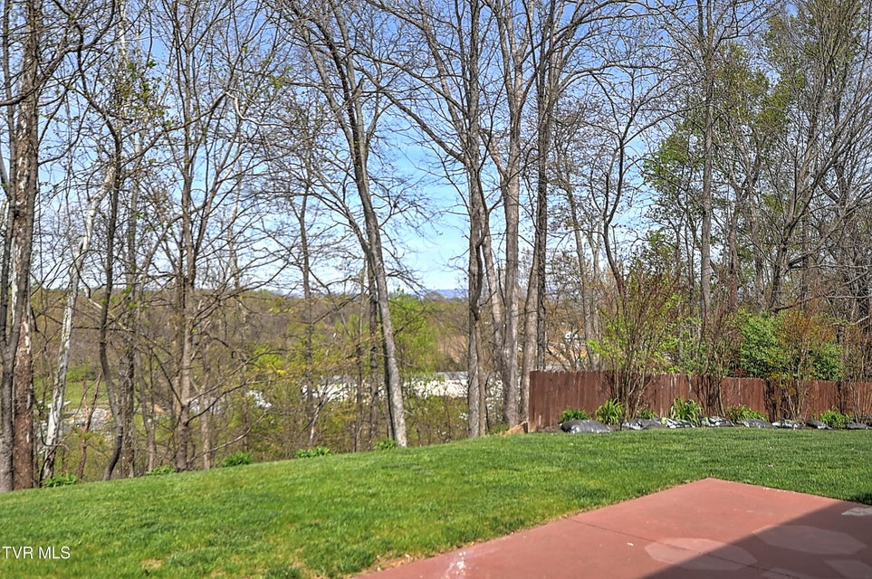 Photo #48: 267 Alpine Trail