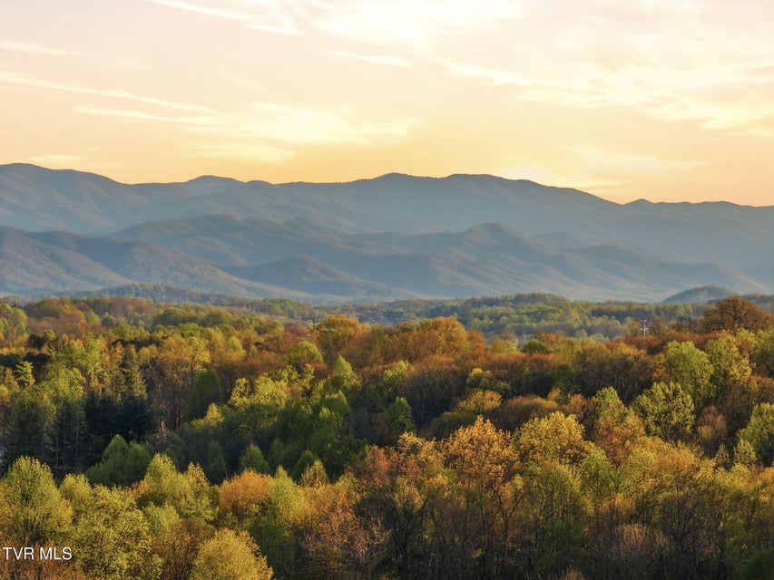 Photo #52: 585 Nettle Tree Court
