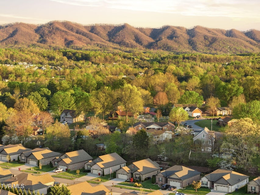Photo #53: 585 Nettle Tree Court