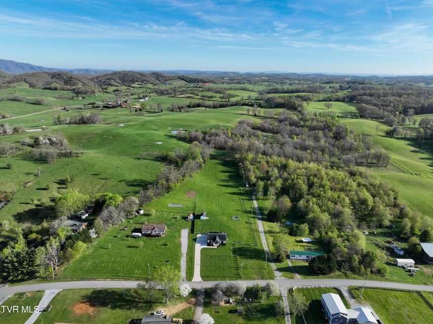 Photo #62: 3451 Milburnton Road