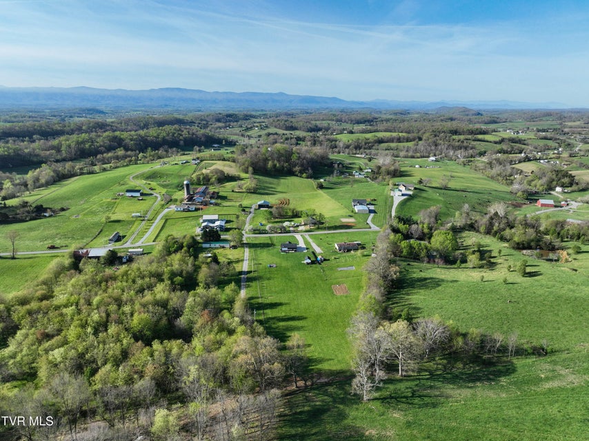 Photo #66: 3451 Milburnton Road