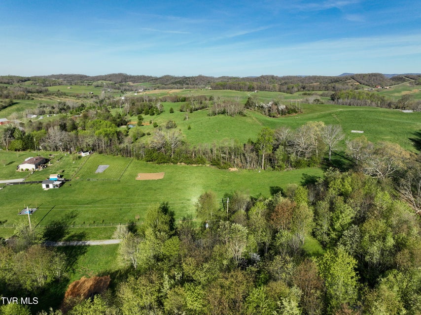 Photo #79: 3451 Milburnton Road