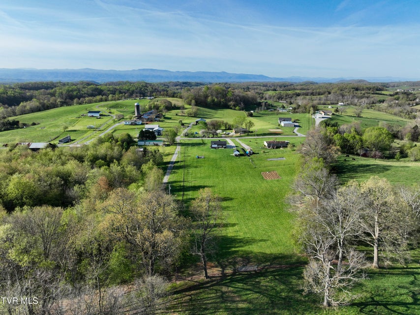 Photo #81: 3451 Milburnton Road