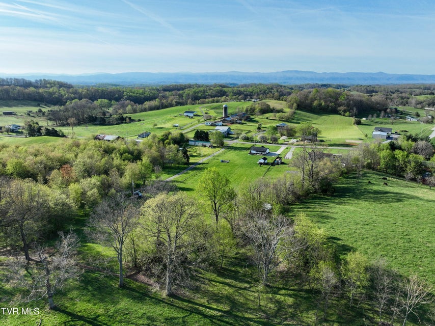 Photo #82: 3451 Milburnton Road