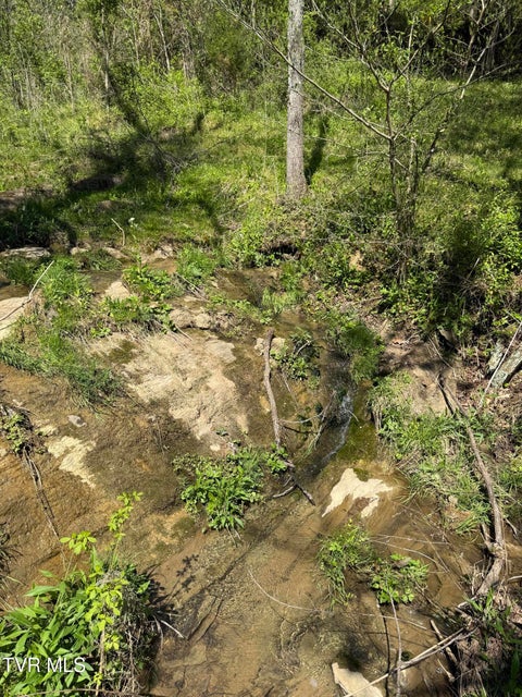 Photo #9: 0000 Goshen Valley Road