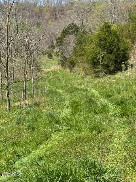 Photo #10: 0000 Goshen Valley Road