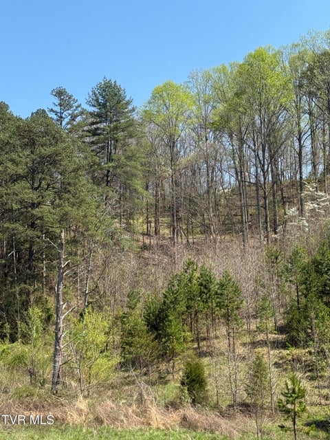 Photo #15: 0000 Goshen Valley Road