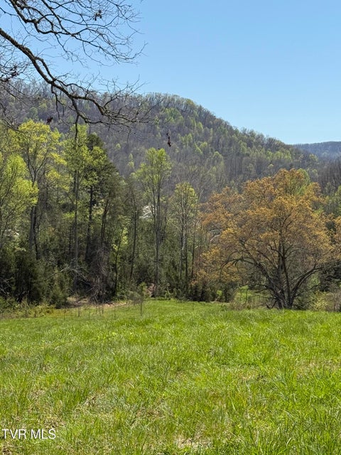 Photo #16: 0000 Goshen Valley Road