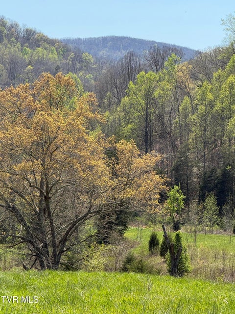 Photo #18: 0000 Goshen Valley Road