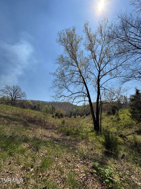 Photo #21: 0000 Goshen Valley Road