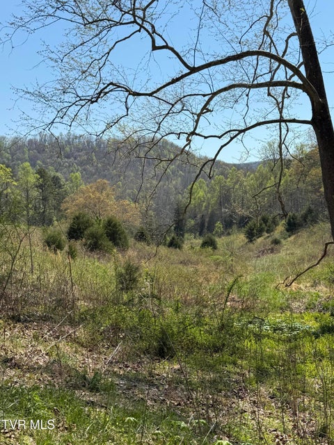 Photo #22: 0000 Goshen Valley Road