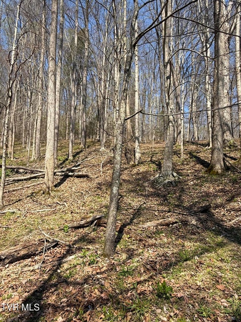 Photo #24: 0000 Goshen Valley Road