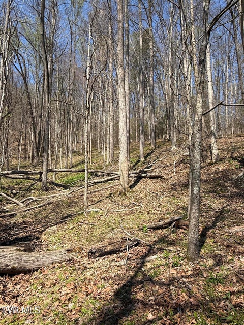 Photo #3: 0000 Goshen Valley Road