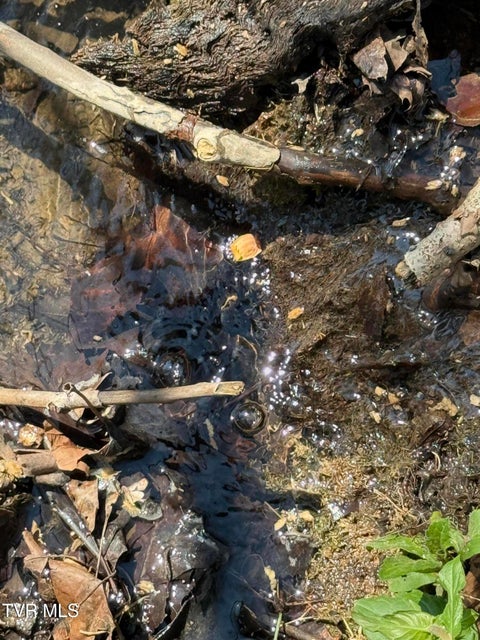 Photo #25: 0000 Goshen Valley Road