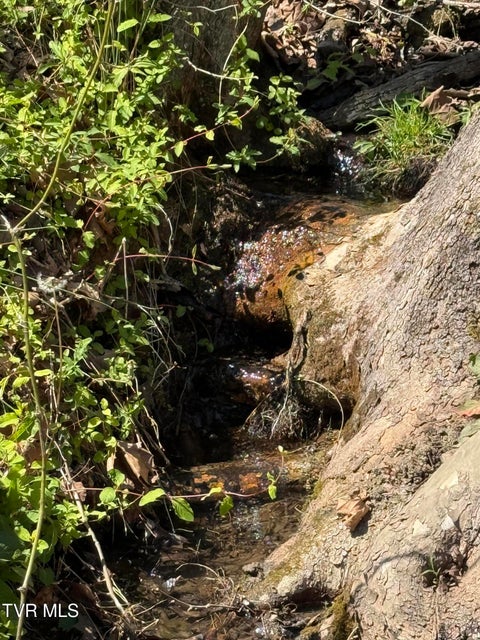 Photo #26: 0000 Goshen Valley Road