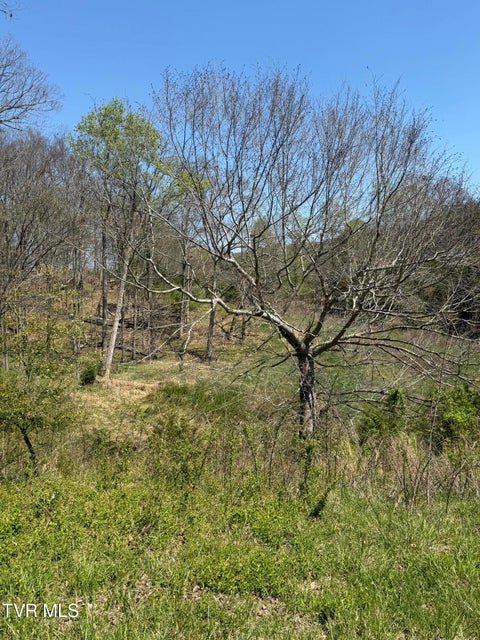 Photo #27: 0000 Goshen Valley Road