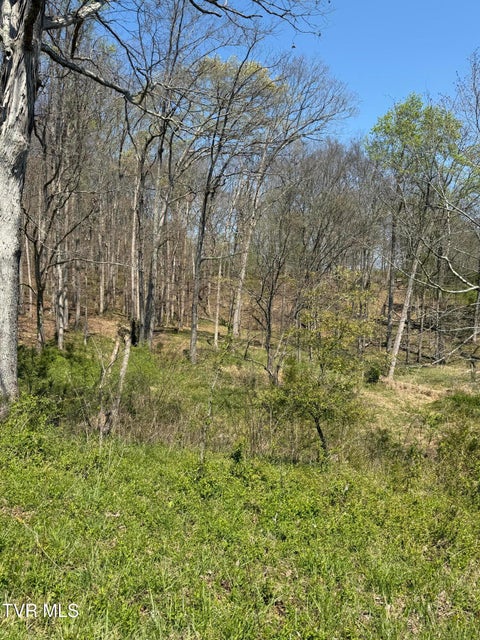 Photo #28: 0000 Goshen Valley Road