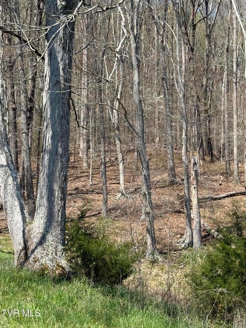 Photo #29: 0000 Goshen Valley Road