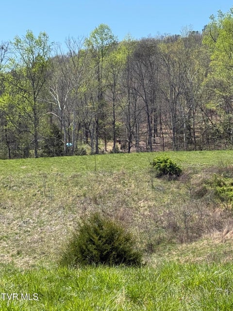 Photo #31: 0000 Goshen Valley Road