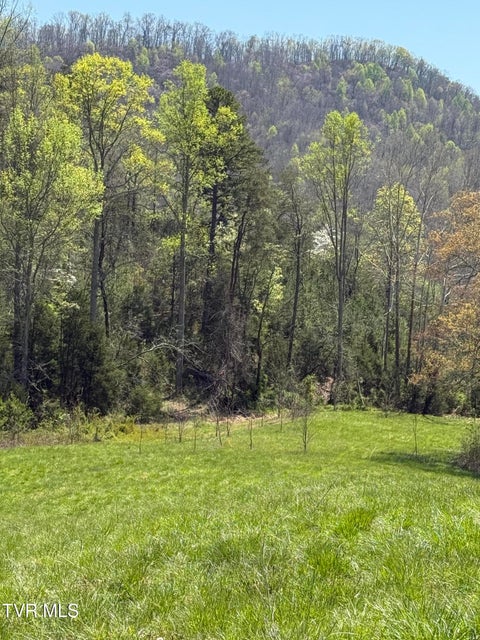 Photo #32: 0000 Goshen Valley Road