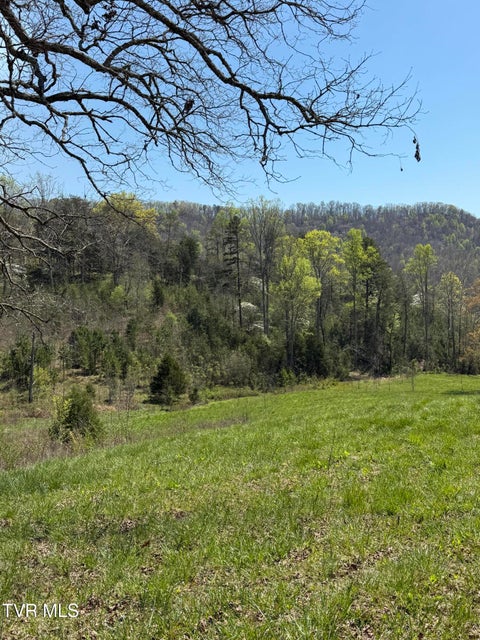 Photo #35: 0000 Goshen Valley Road