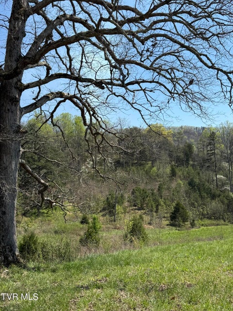 Photo #5: 0000 Goshen Valley Road