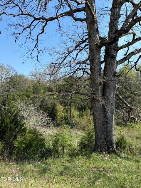 Photo #36: 0000 Goshen Valley Road