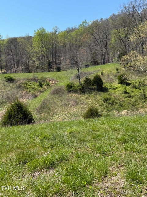 Photo #39: 0000 Goshen Valley Road