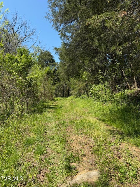 Photo #7: 0000 Goshen Valley Road