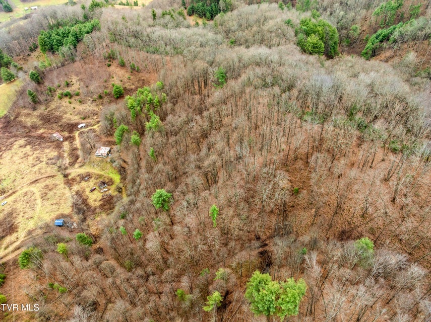 Photo #7: Tbd Tipton Branch Road