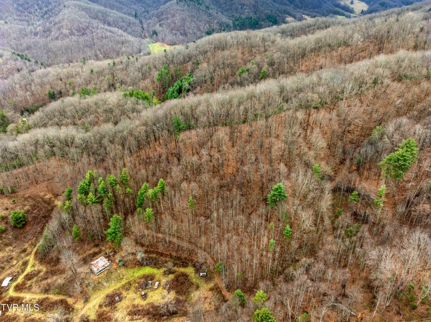 Photo #8: Tbd Tipton Branch Road