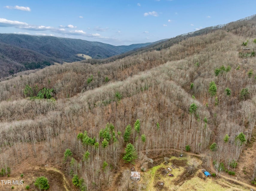 Photo #10: Tbd Tipton Branch Road