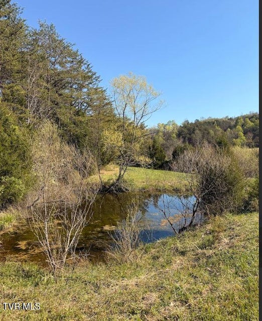 Photo #26: 450 Beech Creek Road