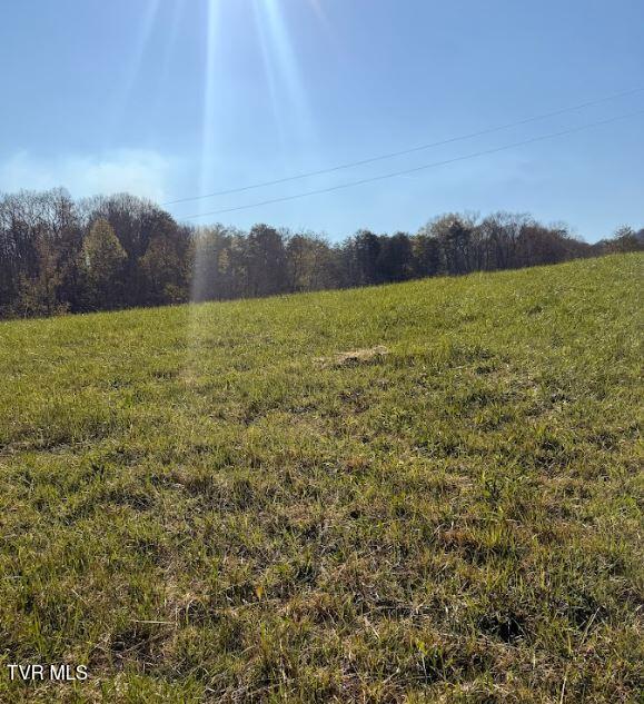 Photo #29: 450 Beech Creek Road