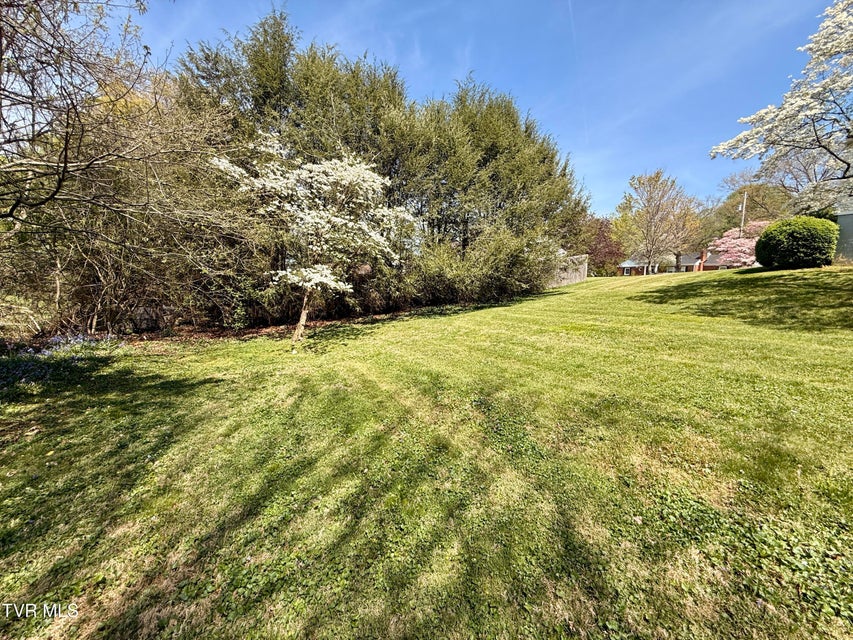 Photo #20: 1507 Baxter Street