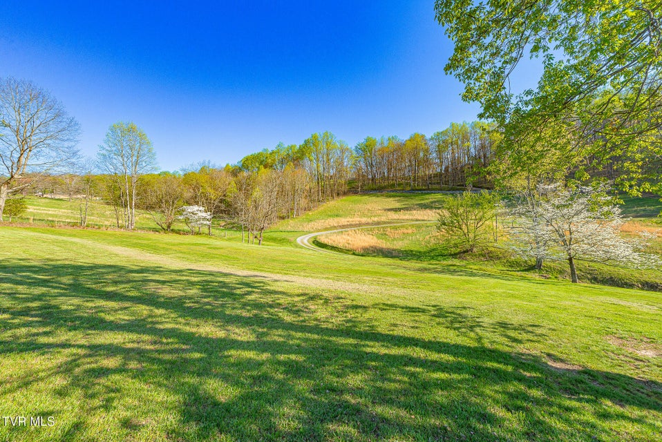 Photo #18: 316 Steel Run Drive