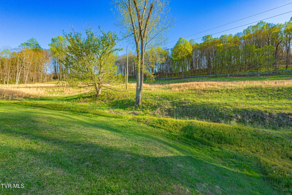 Photo #45: 316 Steel Run Drive