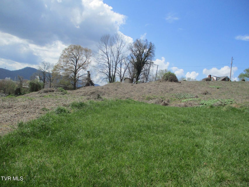 Photo #15: 650 Teasel Drive