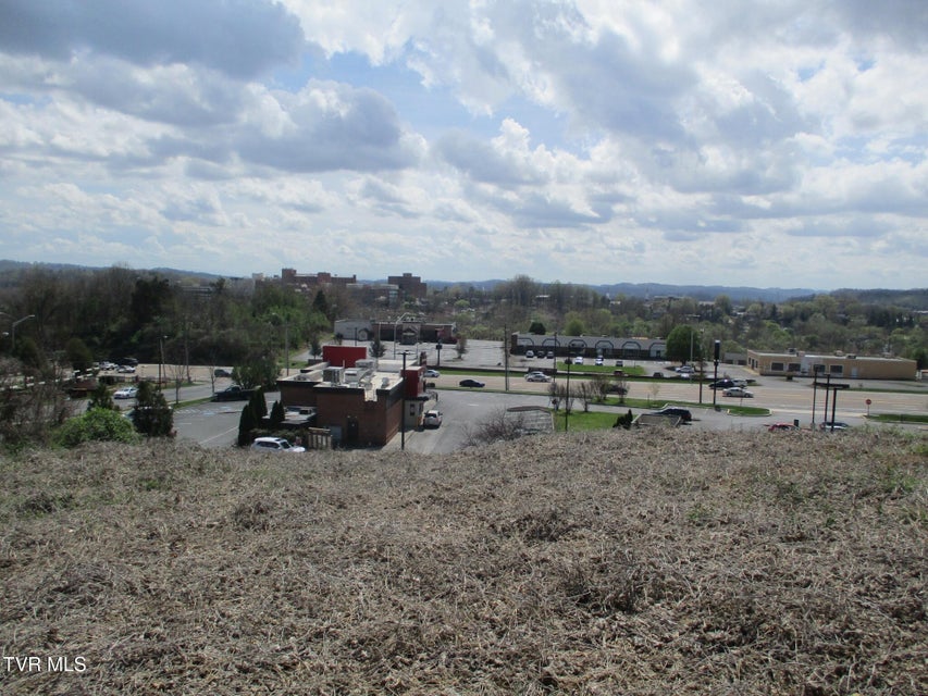 Photo #3: 650 Teasel Drive