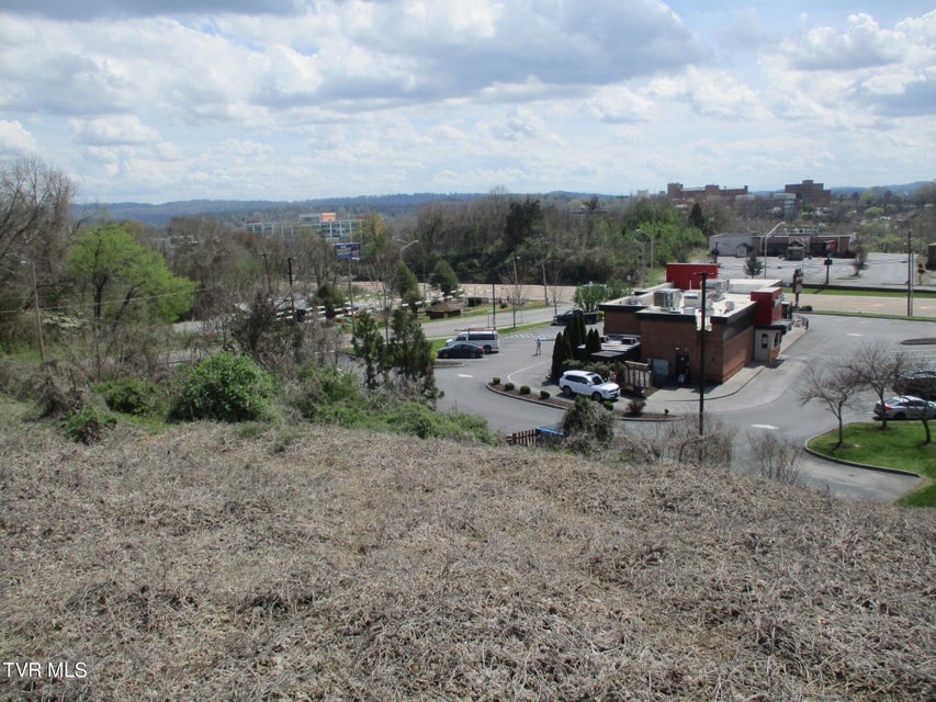 Photo #6: 650 Teasel Drive