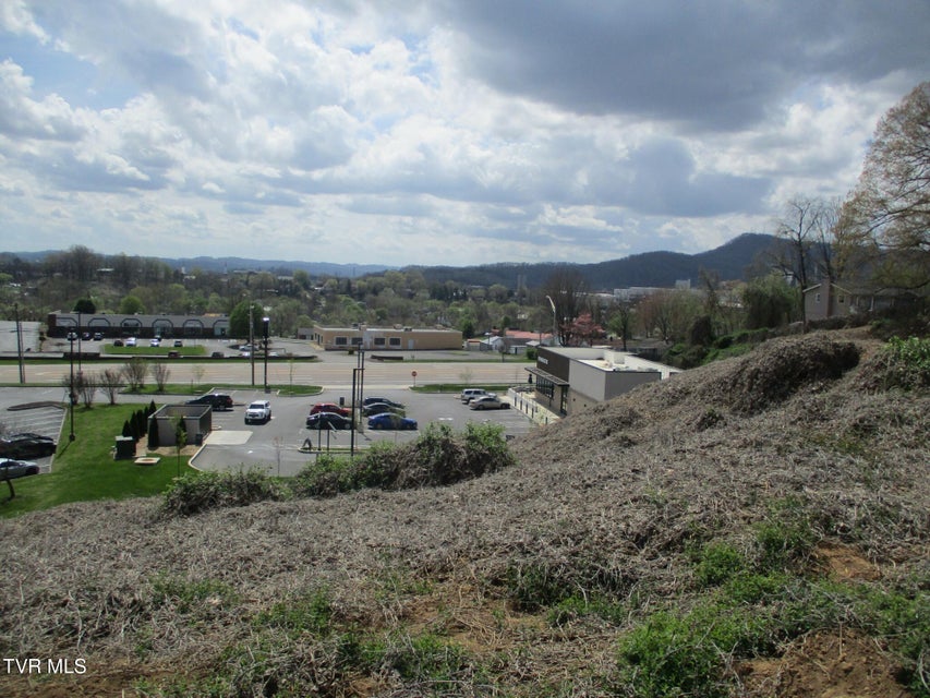 Photo #13: 650 Teasel Drive