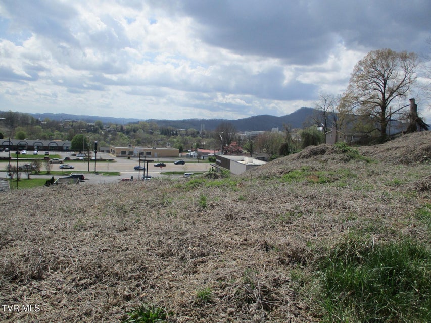 Photo #14: 650 Teasel Drive