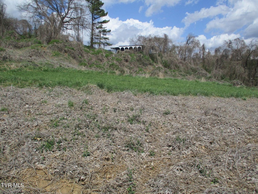 Photo #16: 650 Teasel Drive