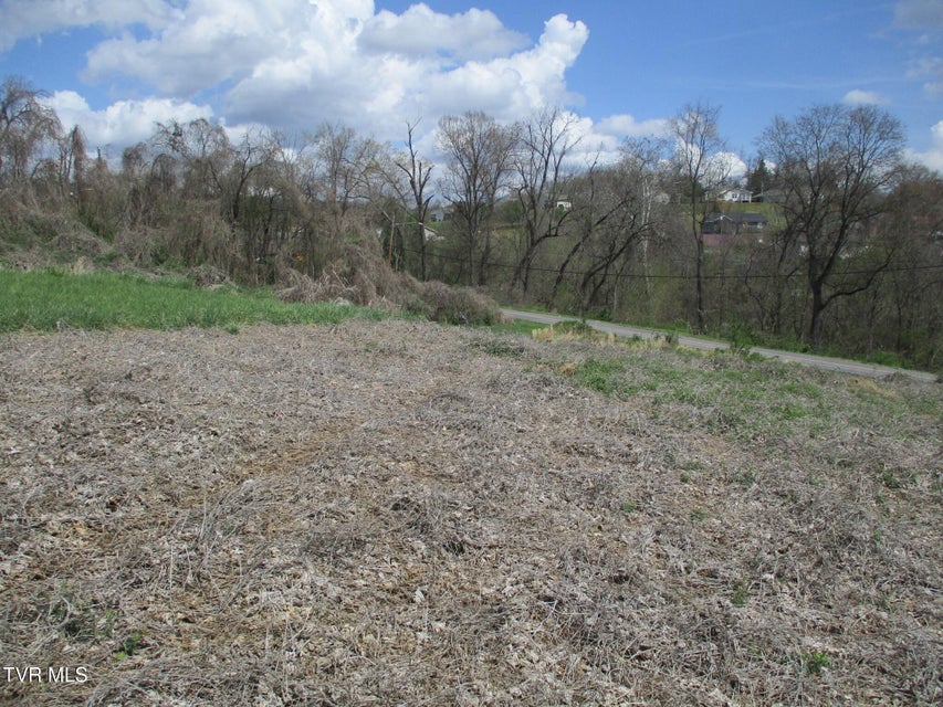 Photo #17: 650 Teasel Drive